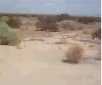 source.gif