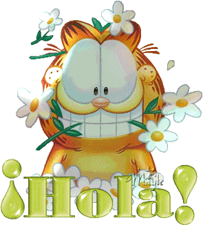 Hola.gif