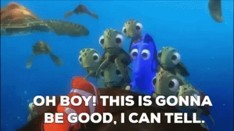 finding-nemo-this-is-going-to-be-good.gif