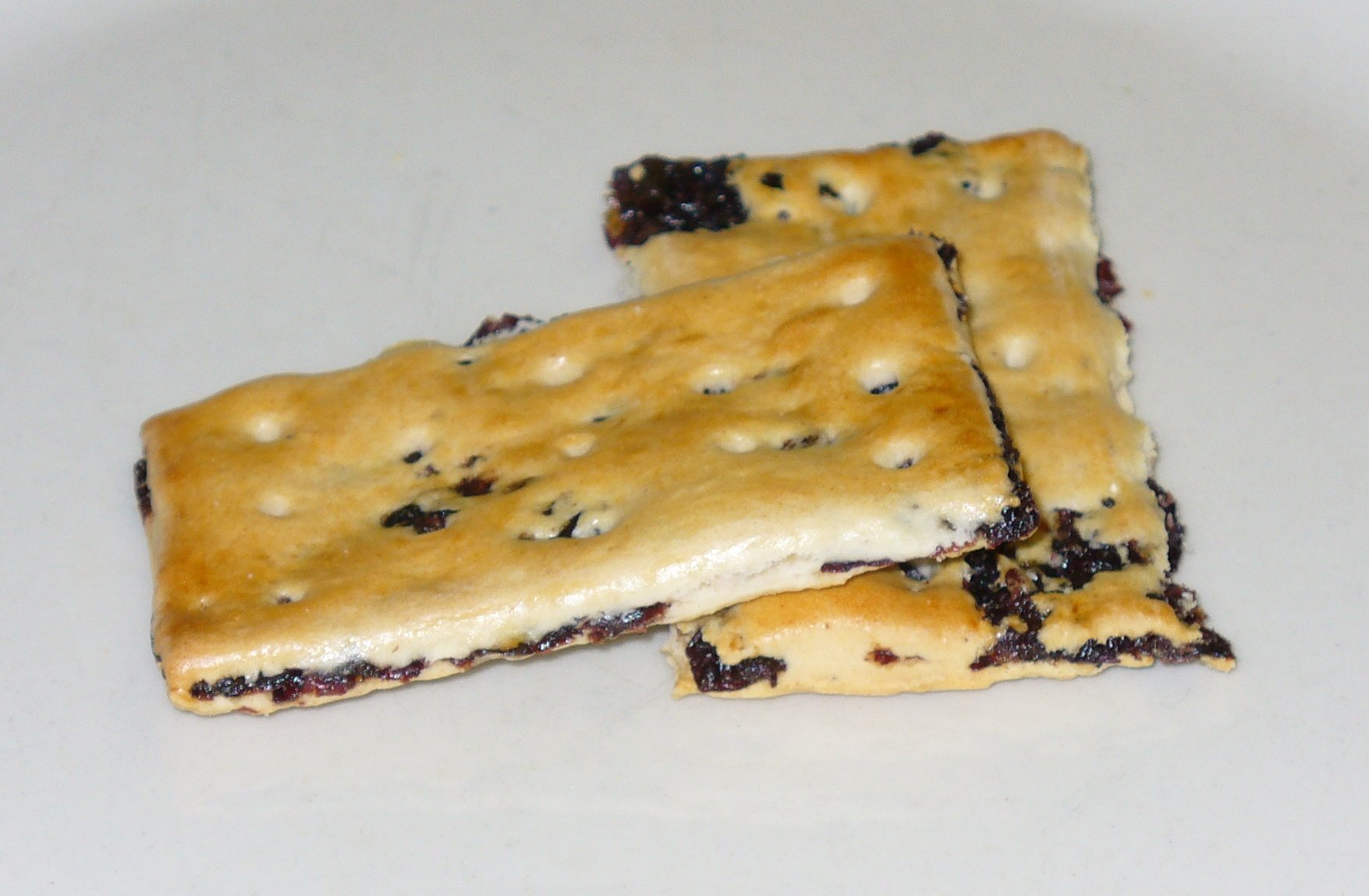 Garibaldi_biscuit.jpg