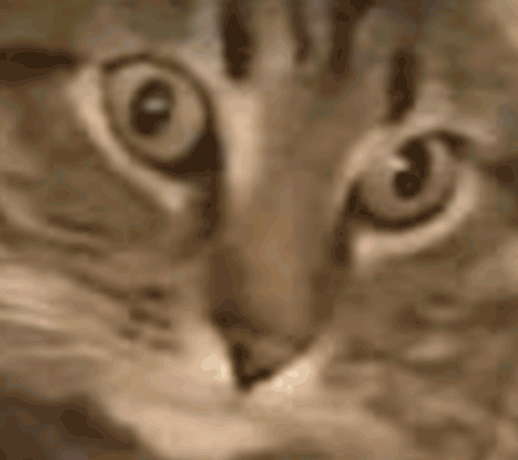vietnam-flashback-traumatized.gif