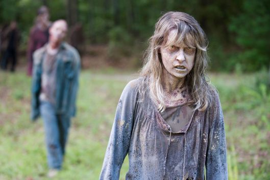 09-zombie.w529.h352.jpg