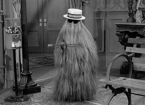 cousin-itt-bbb7cb36-1d6e-4980-9feb-9e051034f87-resize-750.gif