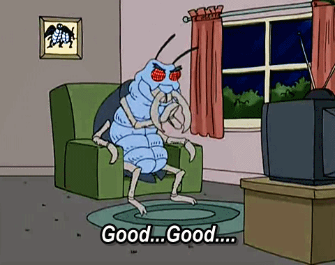 tumblr_ns2wtr37Sd1r1tfh9o1_500.gif