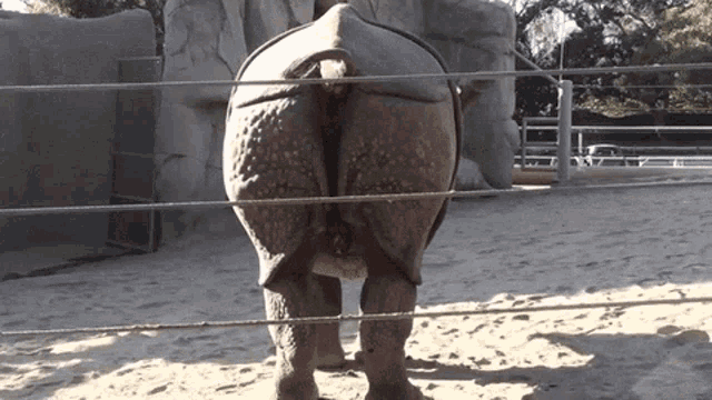 tenor.gif