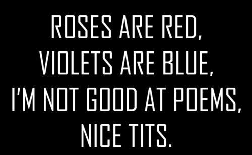 tumblr_lvucg3OKvr1r0wqrdo1_500.jpg