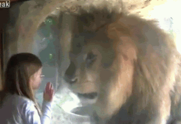 1326757306110.gif