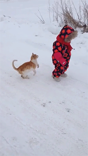 tumblr_nyzh9vSZzF1rc7zl1o1_400.gif