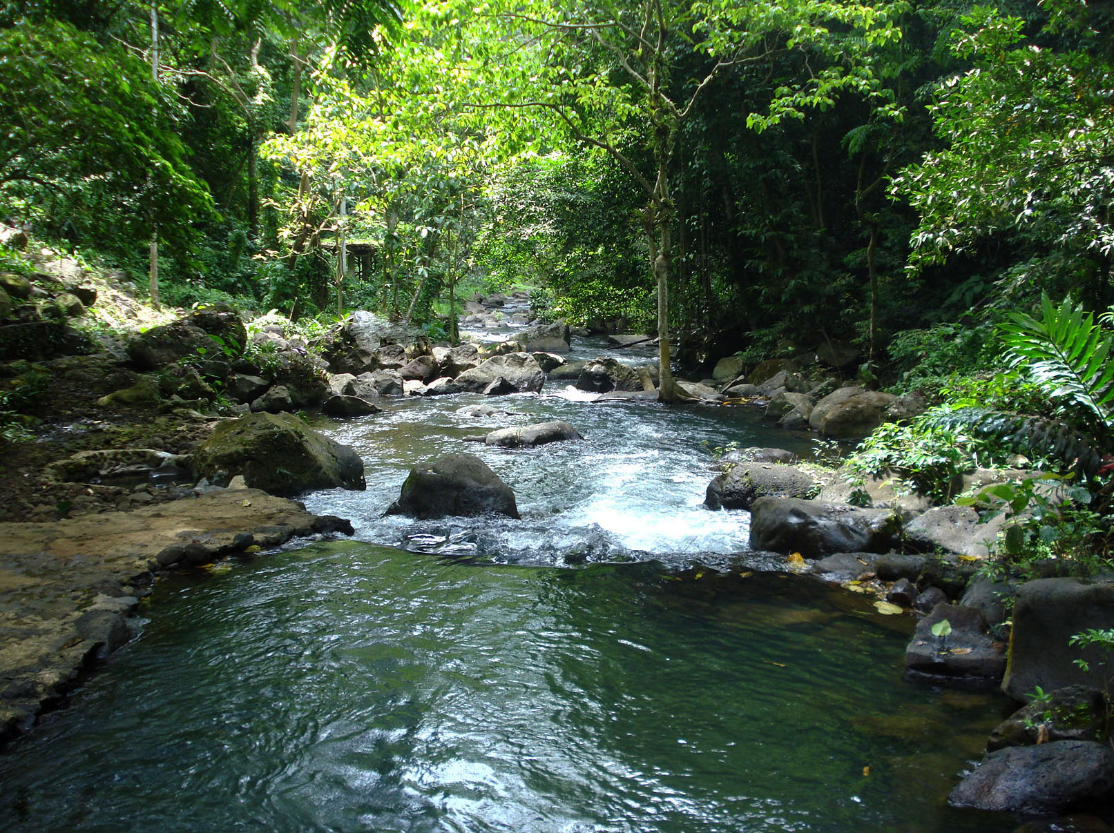 Small_streams.JPG