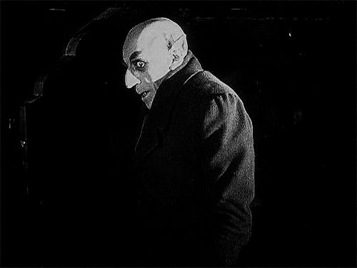 tumblr_m1avbyZhtz1qjncsyo2_500.gif