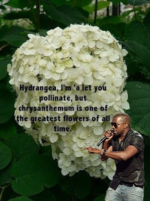 kanye_west_11.jpg
