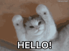 bonjour-et-bonne-journe.gif