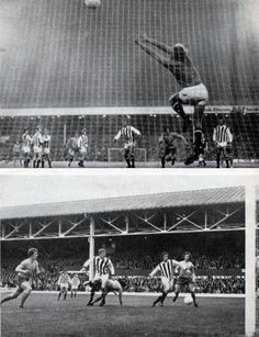 a7e82cdb8a2410f5e95498dc71be0b71--everton-jimmy.jpg