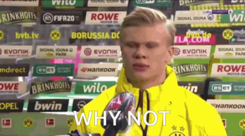 haaland-whynot.gif