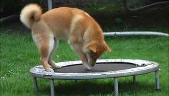 E8jg.gif