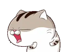 ami-b%E1%BB%A5ng-b%E1%BB%B1.webp