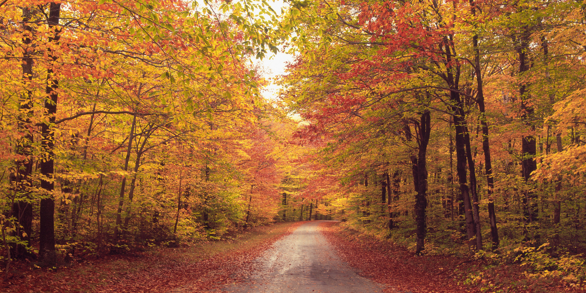 o-FIRST-DAY-OF-FALL-facebook.jpg