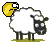 sheepshagger.gif
