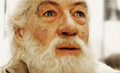 lotr-galdalf.gif
