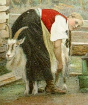 goat1.jpg