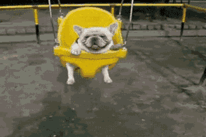 tumblr_m8s5qtbyI41qe1z7co1_400.gif