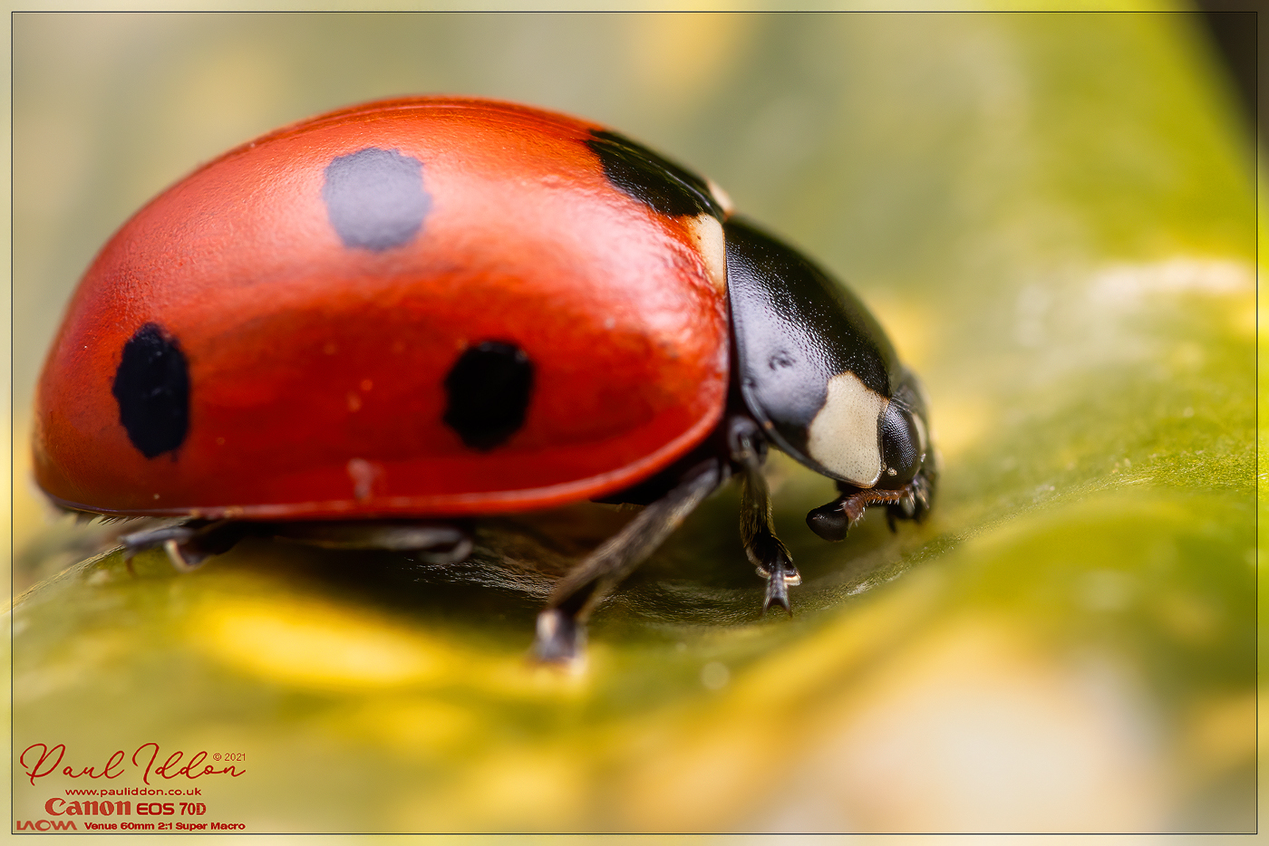 sevenspot01_1400.jpg