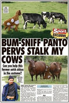 367ad72042e6ccd7be46952d413b51ce--funny-headlines-local-news.jpg