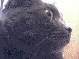 tumblr_inline_mqxq1qmHHd1qz4rgp.gif