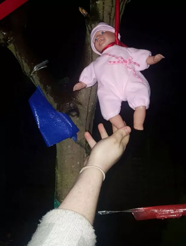 Shauna-Higgin.jpg