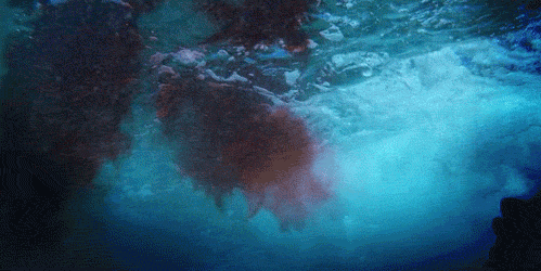 tumblr_m8es02hG2k1qg39ewo1_500.gif