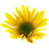 artofnaturalliving.com