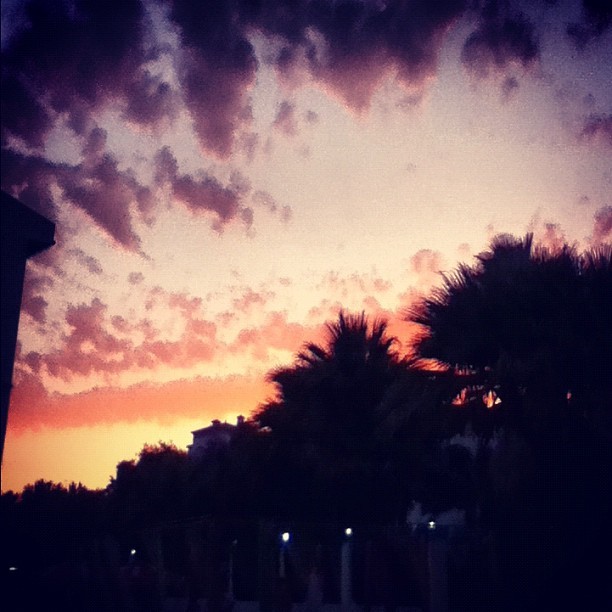 tumblr_m8c6deS5xs1r3fc88o1_1280.jpg