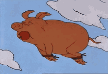 flying-pig-fly-high.gif