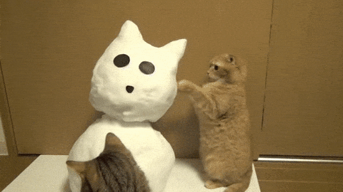 giphy-downsized-large.gif