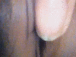 giphy.gif