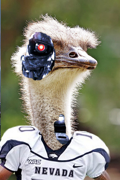 robotostrich_medium.jpg