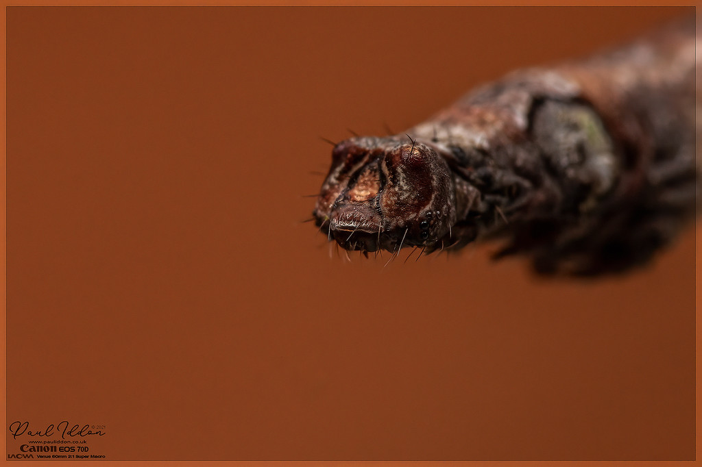 livingstick03_4k_1800-XL.jpg