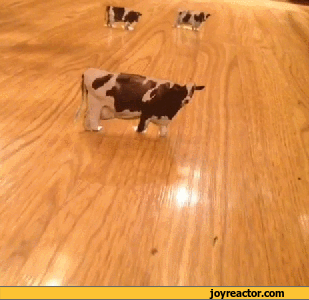 gif-aliens-ufo-cow-997786.gif