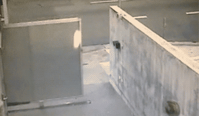 bike-crashes-into-guy-walking-out-gate-14039560261.gif