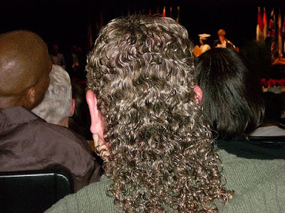 mullet