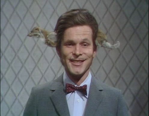 stoat.jpg