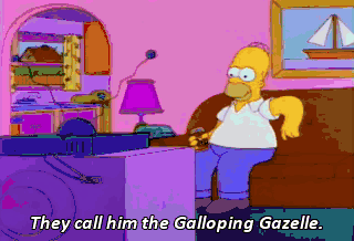 rwN2Bd.gif