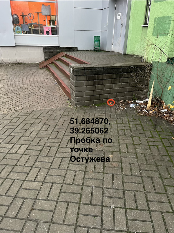 DSC00060.jpg
