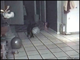 1326657373594.gif