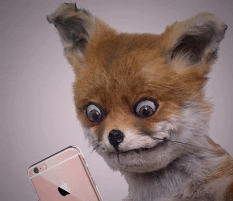 8bb0387ec0de1979636a3dd5410d8088.gif