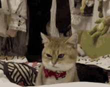 suss-suspicious.gif