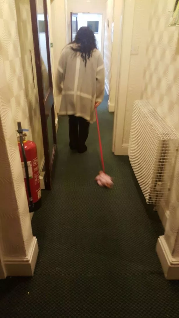 Shauna-Higgin.jpg