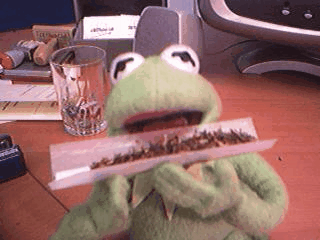tumblr_lw8clgDphx1r4pqwfo1_400.gif