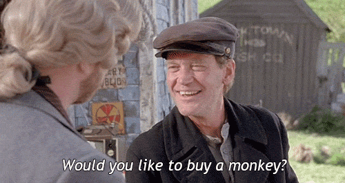 monkey1.gif