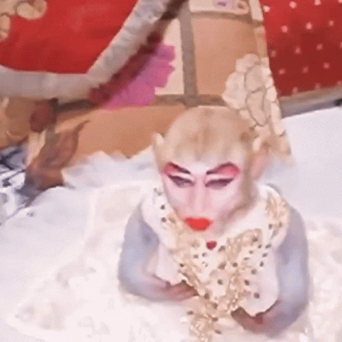 tayomaki-monkey.gif